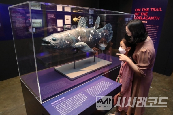 프랑스 국립 자연사박물관 특별전 ‘바다, 미지로의 탐험’ 전시장을 찾은 한 가족이 전시장 천장에 설치된 실러캔스 표본을 관람하고 있다
